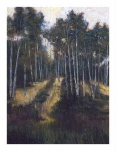 # V63 - Aspen Summer