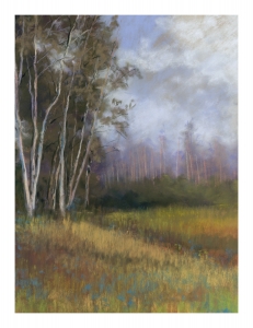 # V61 - Spring Awakening