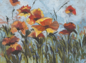 #V131 Poppies