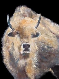 V173 - White Buffalo