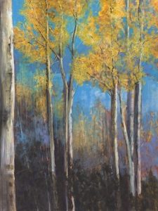 V179 - Blue on Blue Meets Aspen